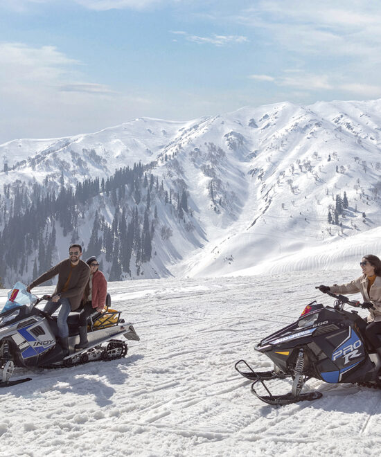 Family Tours In Kashmir
