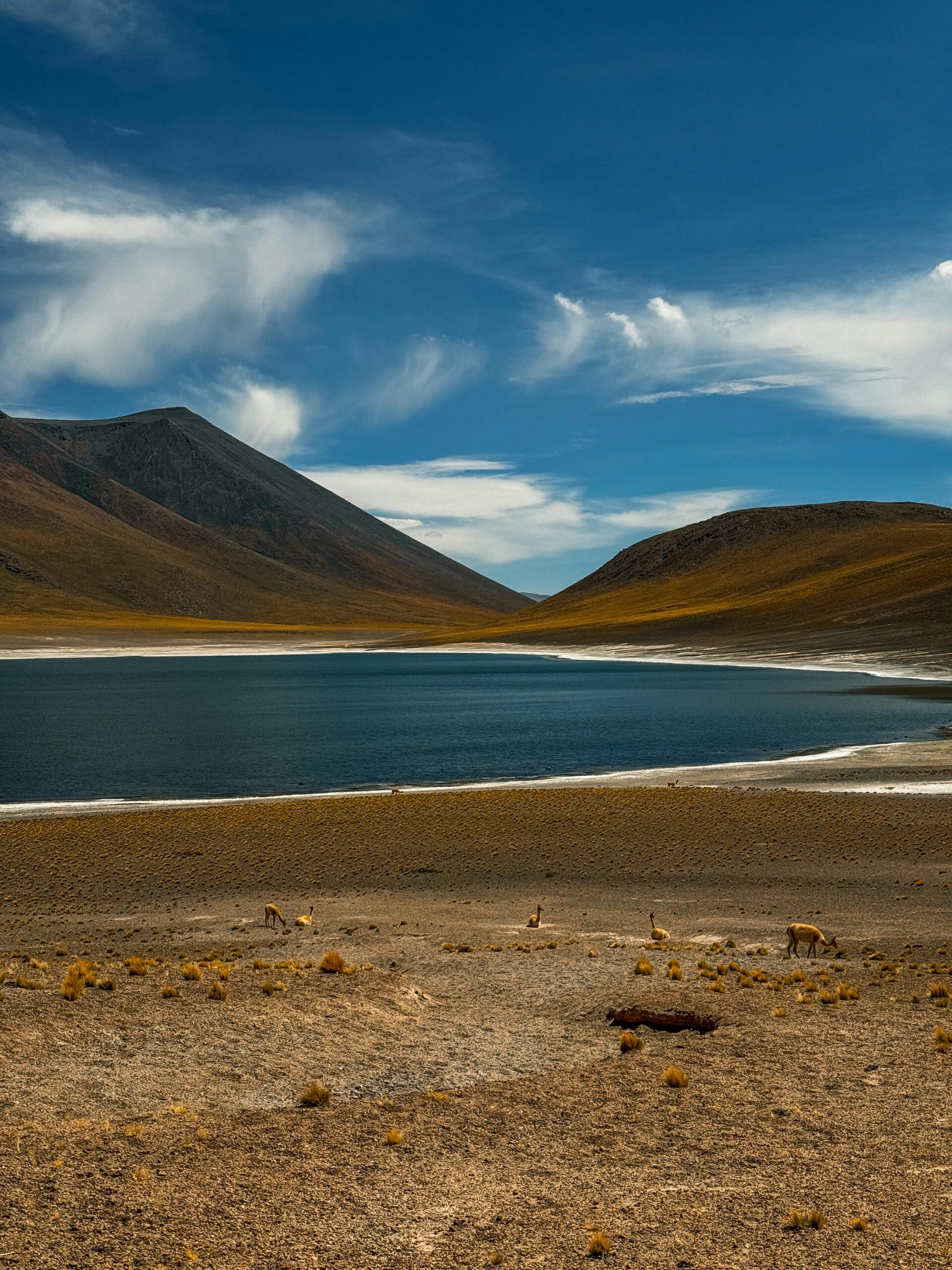 Leh Ladakh