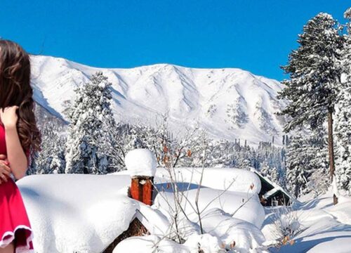Sown Fall In Kashmir